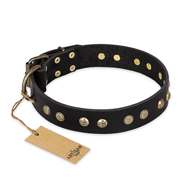 (image for) "Black Elegance" FDT Artisan Leather American Bulldog Collar with Round Studs