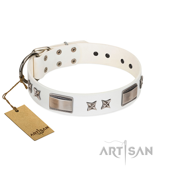 Top quality dog collar of full grain leather