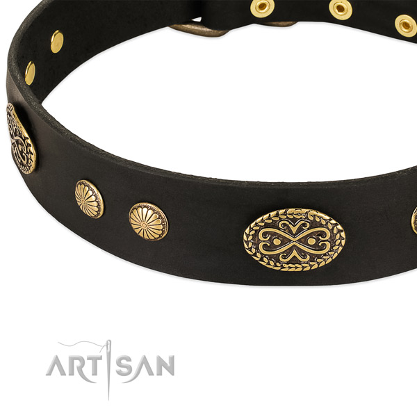 Durable embellishments on leather dog collar for your dog