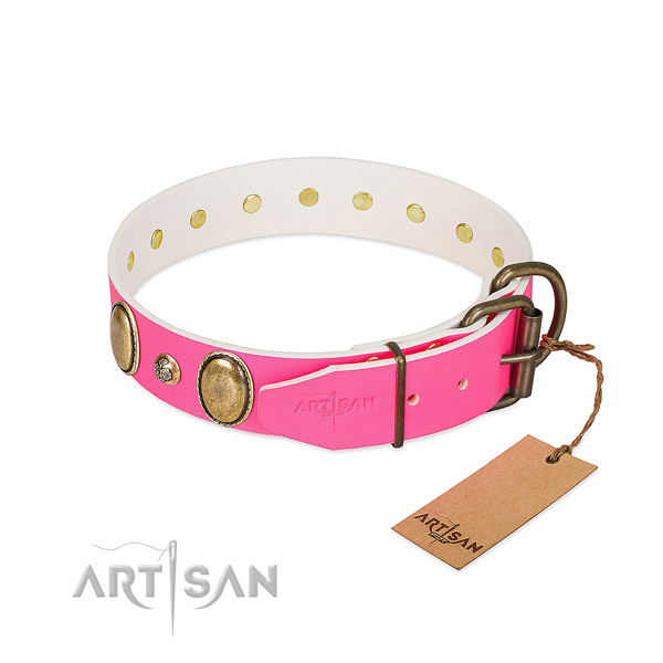 Stylish walking best quality leather dog collar
