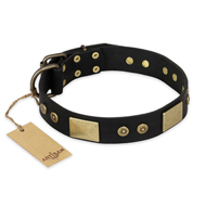 (image for) "Spanish night" FDT Artisan Fashionable Leather Walking American Bulldog Collar