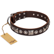 (image for) "Pierian spring" FDT Artisan Brown Leather American Bulldog Collar with Silvery Decorations