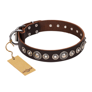(image for) "Step and Sparkle" FDT Artisan Glamorous Studded Brown Leather American Bulldog Collar