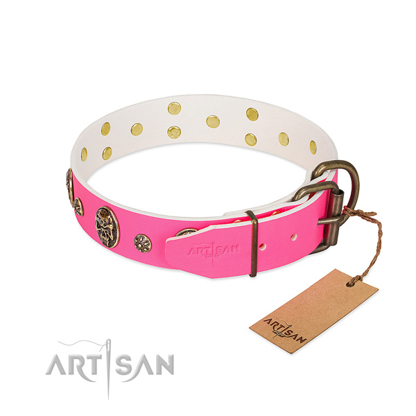 Durable buckle on full grain natural leather collar for basic training your four-legged friend