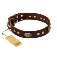 (image for) "Old-fashioned Glamor" FDT Artisan Brown Leather American Bulldog Collar with Old Bronze Look Plates and Circles