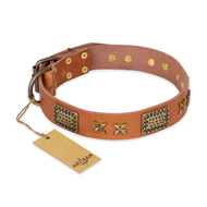 (image for) "Cosmic Traveller" FDT Artisan Adorned Leather American Bulldog Collar with Old Bronze-Plated Stars and Plates