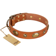 (image for) "Visual Magic" FDT Artisan Tan Leather American Bulldog Collar for Daily Activities