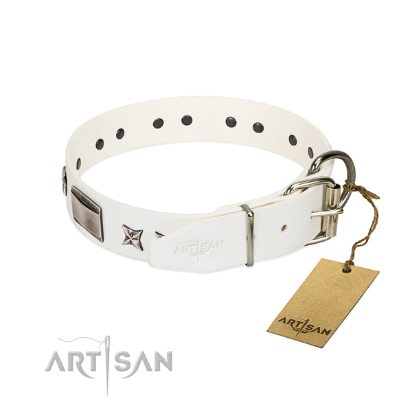 Studded collar of full grain leather for your handsome pet