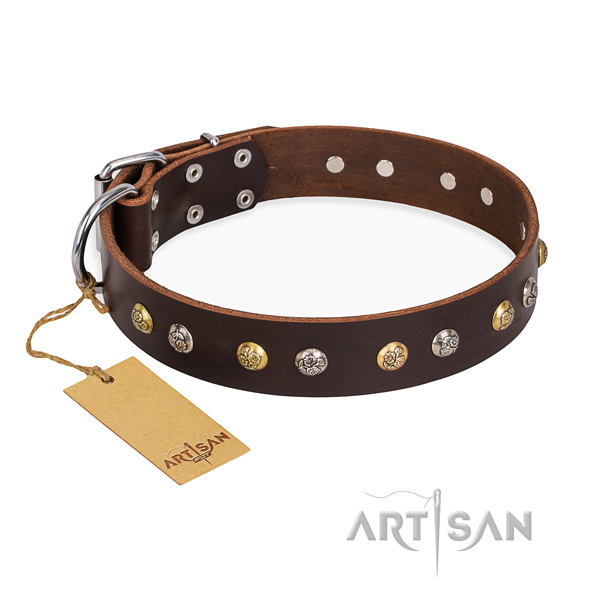 Everyday use impressive dog collar with rust resistant traditional buckle