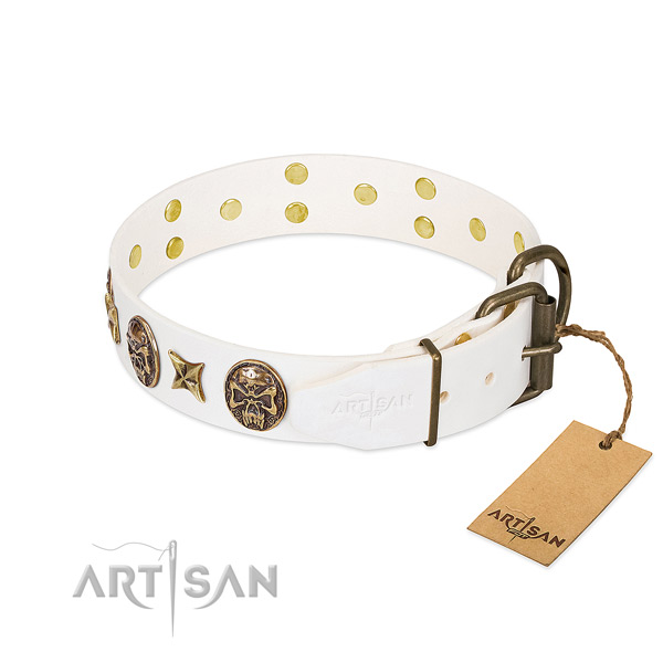 Reliable buckle on full grain natural leather collar for fancy walking your dog