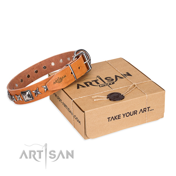 Stylish walking leather dog collar with studs