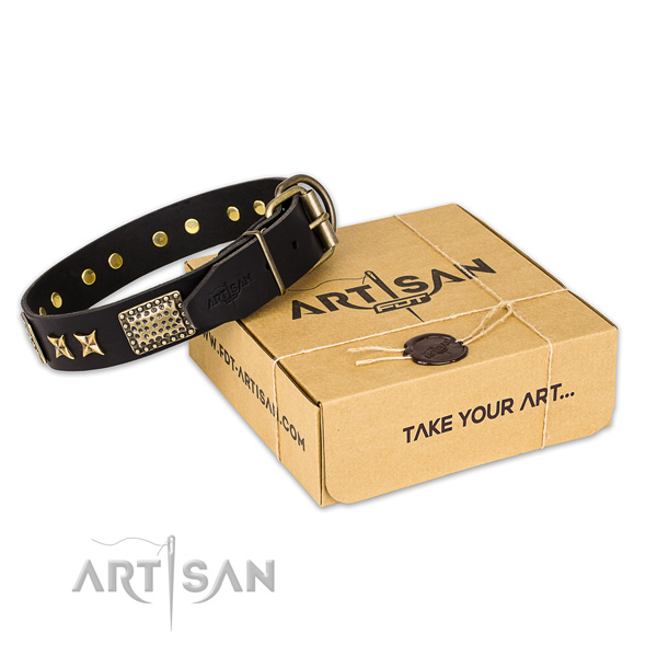 Corrosion proof hardware on leather collar for your handsome doggie