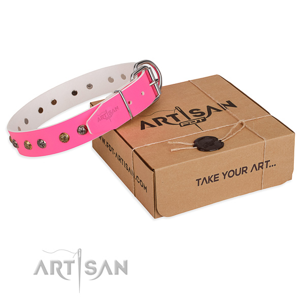 Daily walking dog collar with Designer corrosion resistant studs