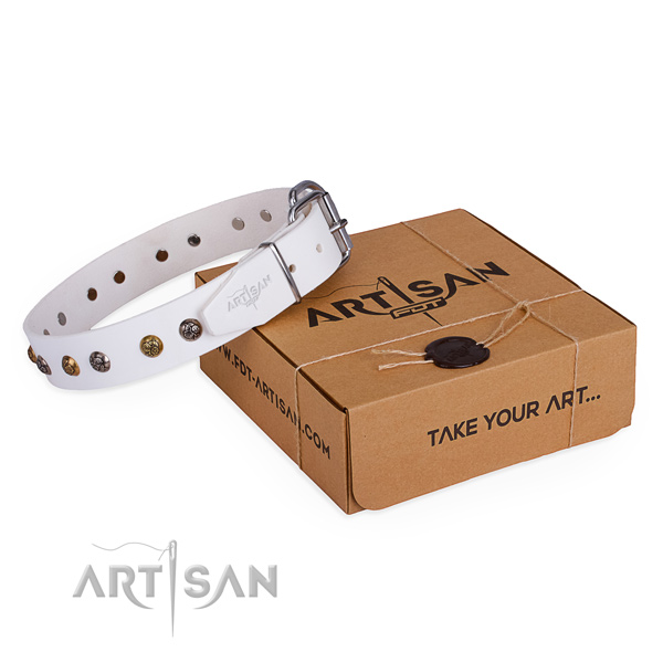 Everyday use dog collar with Stylish corrosion proof studs