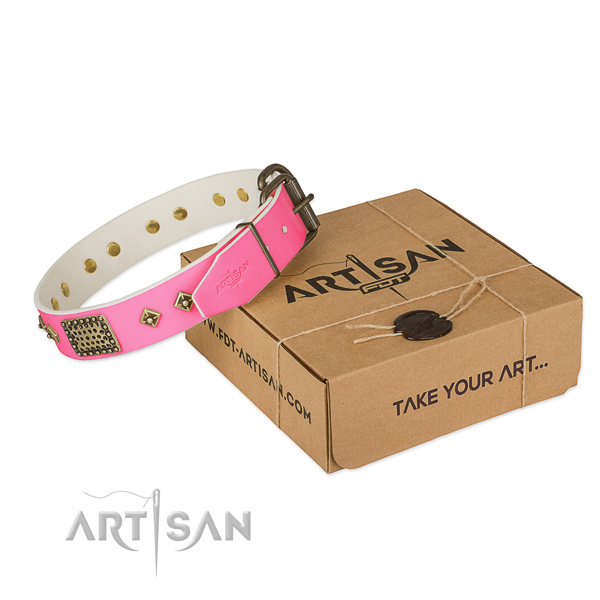Reliable fittings on dog collar for stylish walking