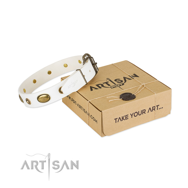 Significant full grain natural leather collar for your beautiful canine
