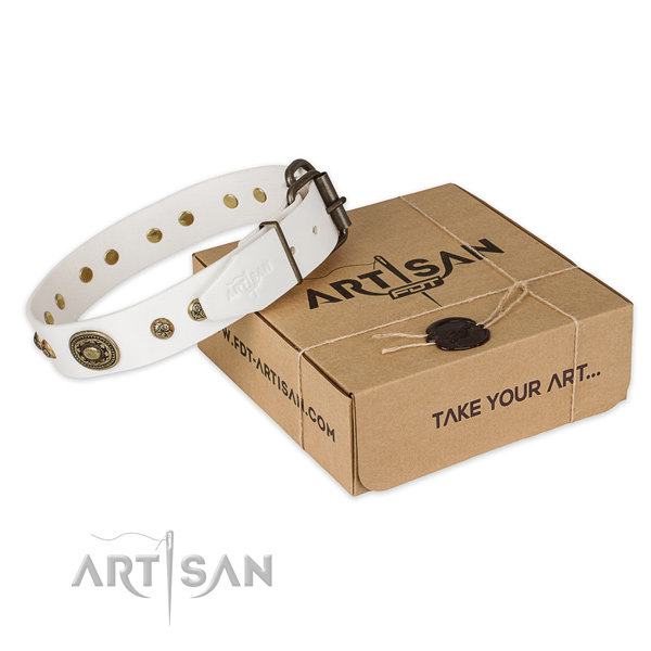 Reliable hardware on natural genuine leather dog collar for easy wearing