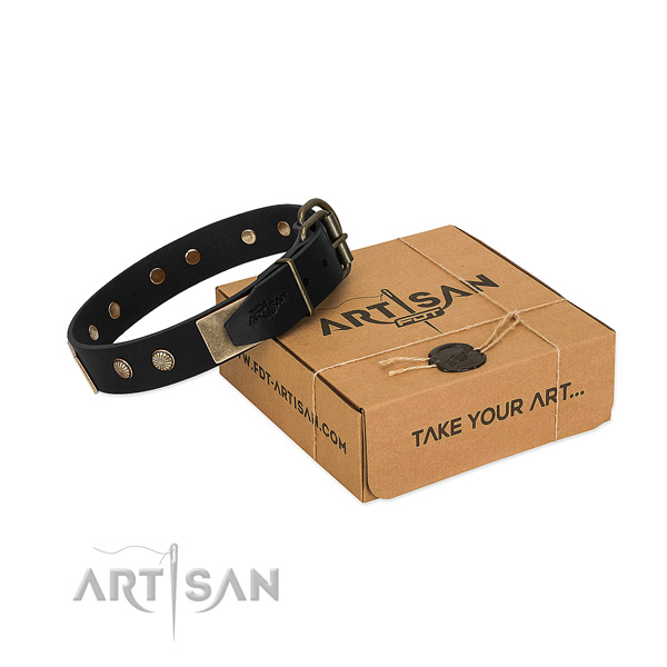 Rust resistant fittings on dog collar for stylish walking