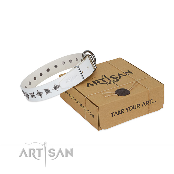 Reliable full grain leather dog collar with extraordinary studs
