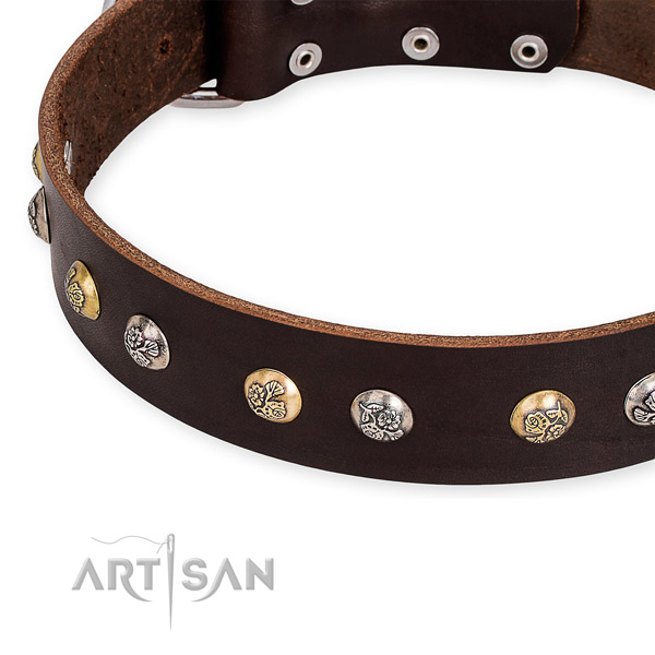 Full grain leather dog collar with awesome corrosion resistant embellishments