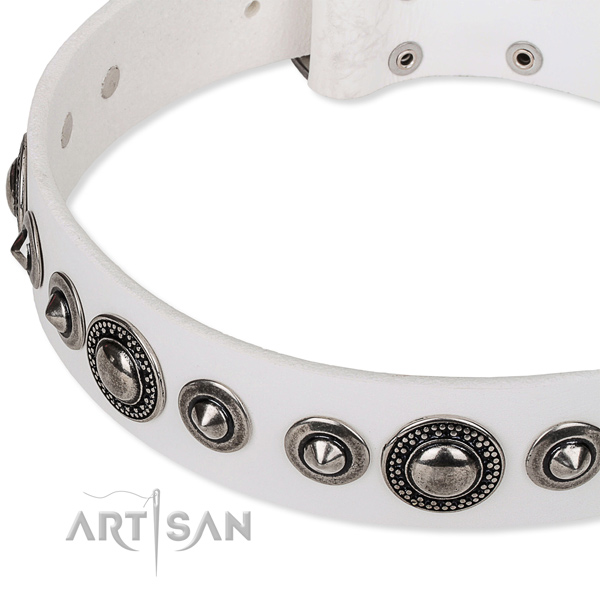 Daily walking decorated dog collar of top quality full grain natural leather