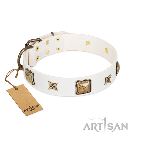 Studded full grain natural leather dog collar for fancy walking