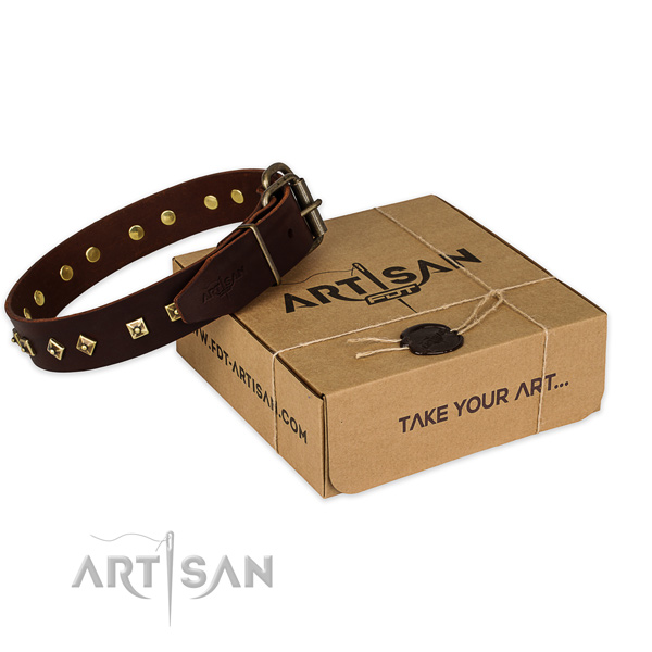 Corrosion proof fittings on full grain leather dog collar for handy use