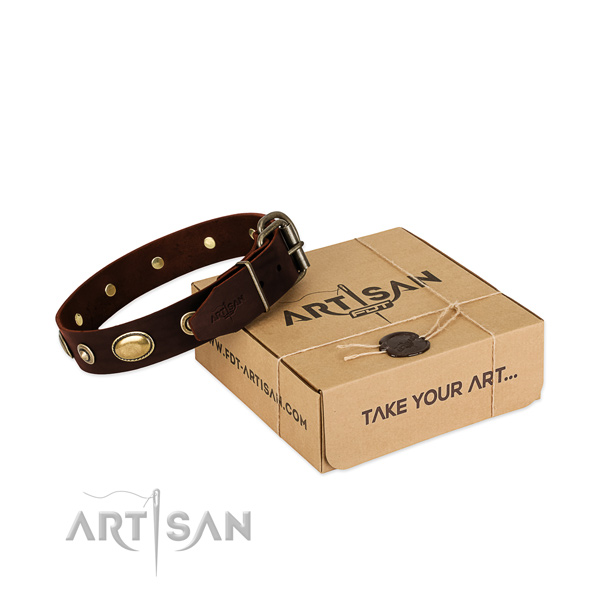 Corrosion proof studs on natural leather dog collar for your canine