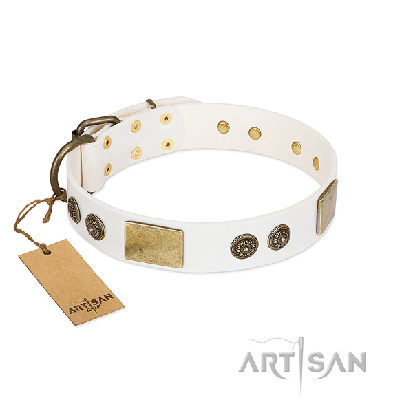 Embellished genuine leather dog collar for everyday use