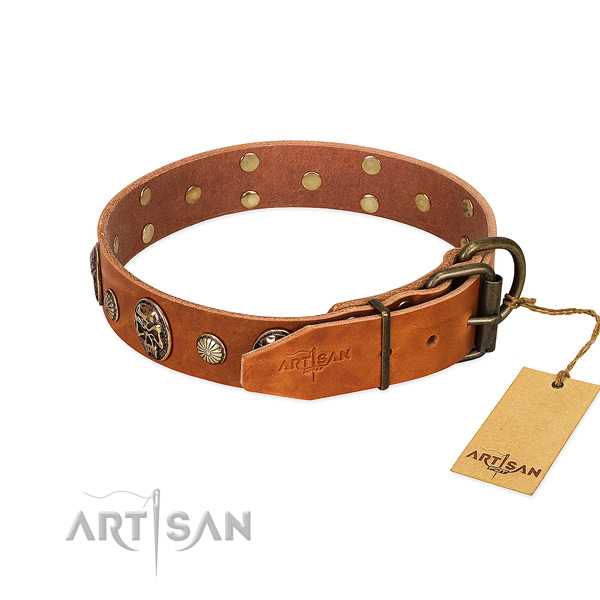 Strong traditional buckle on full grain natural leather collar for daily walking your doggie