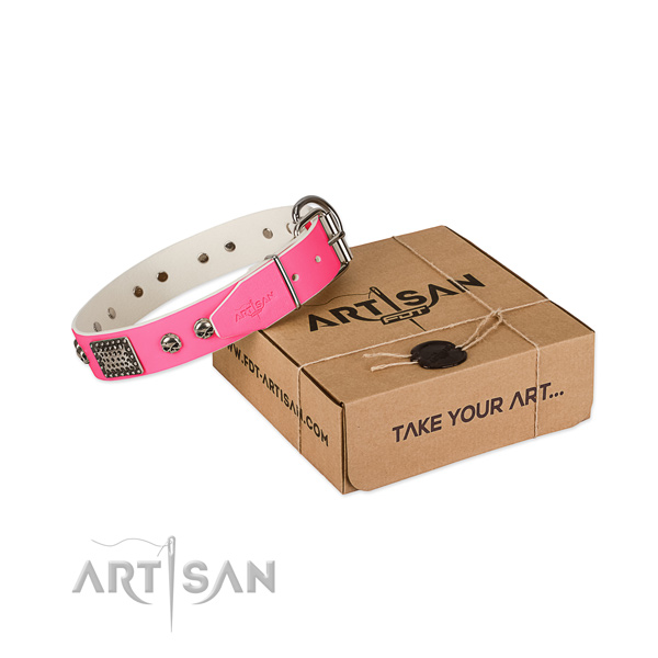 Reliable fittings on dog collar for everyday walking