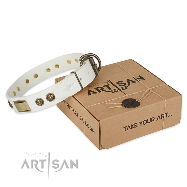 Rust-proof traditional buckle on genuine leather dog collar for easy wearing