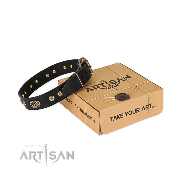 Corrosion resistant decorations on leather dog collar for your doggie