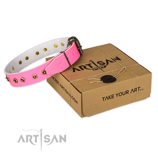 Rust-proof hardware on genuine leather dog collar for daily walking