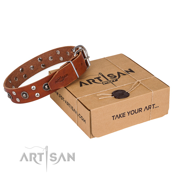 Corrosion resistant traditional buckle on genuine leather collar for your stylish pet