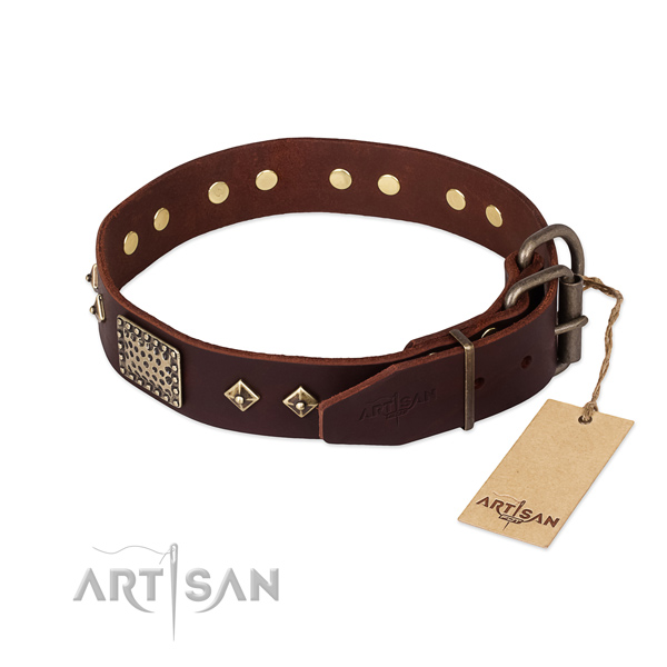Full grain natural leather dog collar with strong buckle and embellishments
