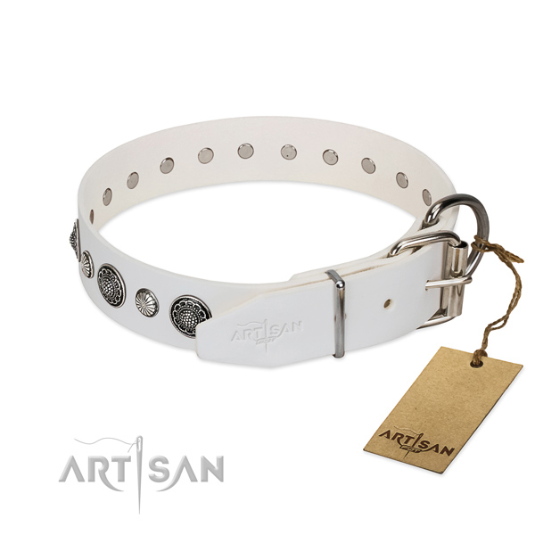 High quality full grain leather dog collar with corrosion proof fittings