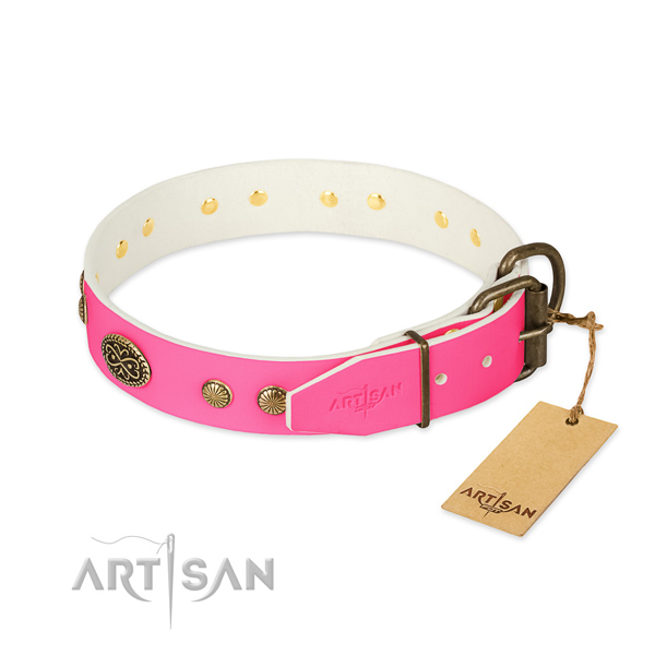 Rust resistant decorations on natural leather dog collar for your four-legged friend