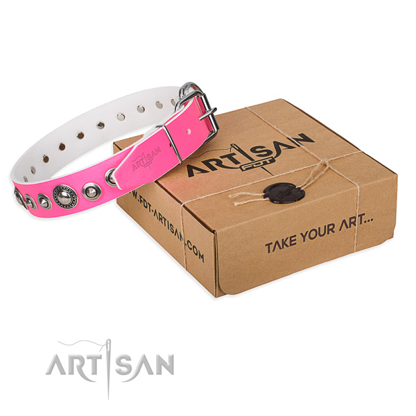 Leather dog collar made of flexible material with reliable hardware
