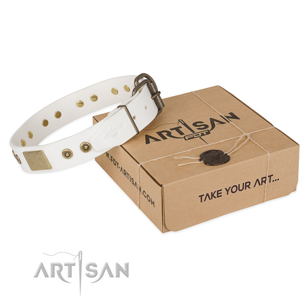 Top quality genuine leather collar for your impressive dog