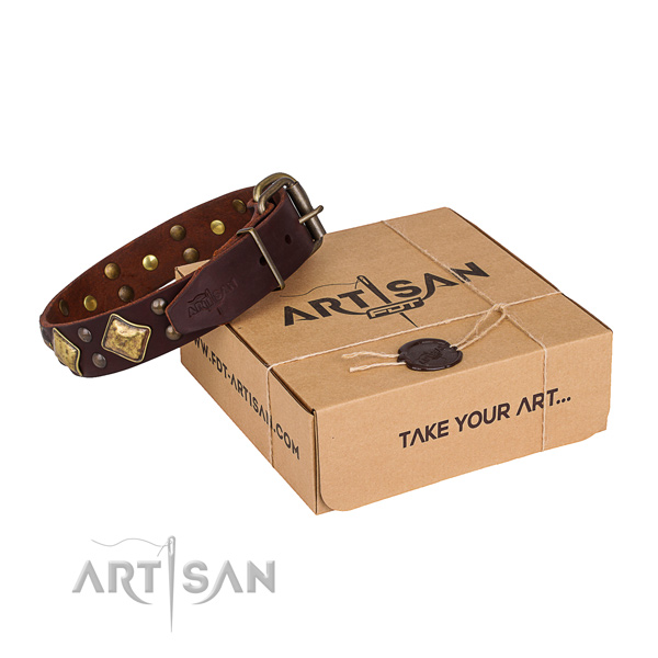 Easy wearing dog collar with Fashionable durable studs