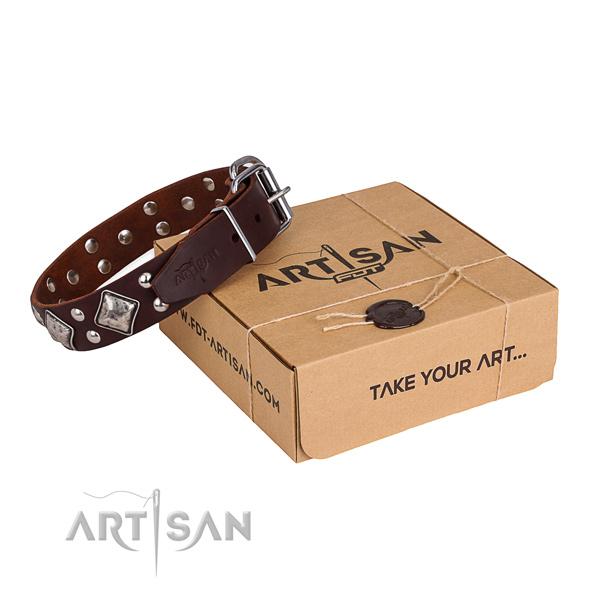 Everyday use dog collar with Stylish corrosion proof embellishments