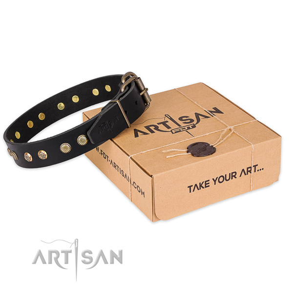 Corrosion proof buckle on leather collar for your beautiful doggie