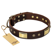 (image for) "Rich Fashion" FDT Artisan Decorated Leather American Bulldog Collar with Plates and Studs