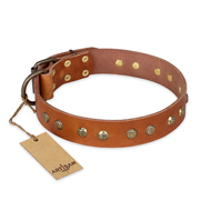 (image for) "Spring Flavor" FDT Artisan Adorned Leather American Bulldog Collar with Old Bronze-Plated Engraved Studs