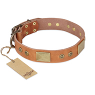 (image for) "The Middle Ages" FDT Artisan Handcrafted Tan Leather American Bulldog Collar