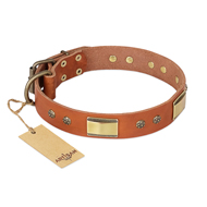 (image for) "Enchanting Spectacle" FDT Artisan Tan Leather American Bulldog Collar with Old Bronze Look Plates and Round Studs