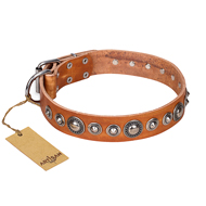 (image for) "Daily Chic" FDT Artisan Tan Leather American Bulldog Collar with Decorations