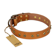 (image for) "Autumn Story" FDT Artisan Leather American Bulldog Collar with Old Bronze Look Studs
