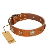 (image for) "Celtic Tunes" FDT Artisan Tan Leather American Bulldog Collar Adorned with Stars and Squares